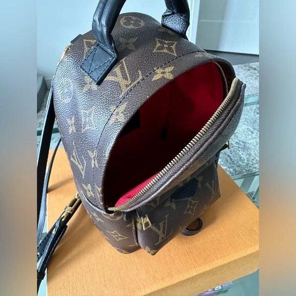 LV Palm Springs Mini - Picture 4 of 7